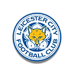 开云体育-KAIYUN-SPORTS-LEICESTER-CITY